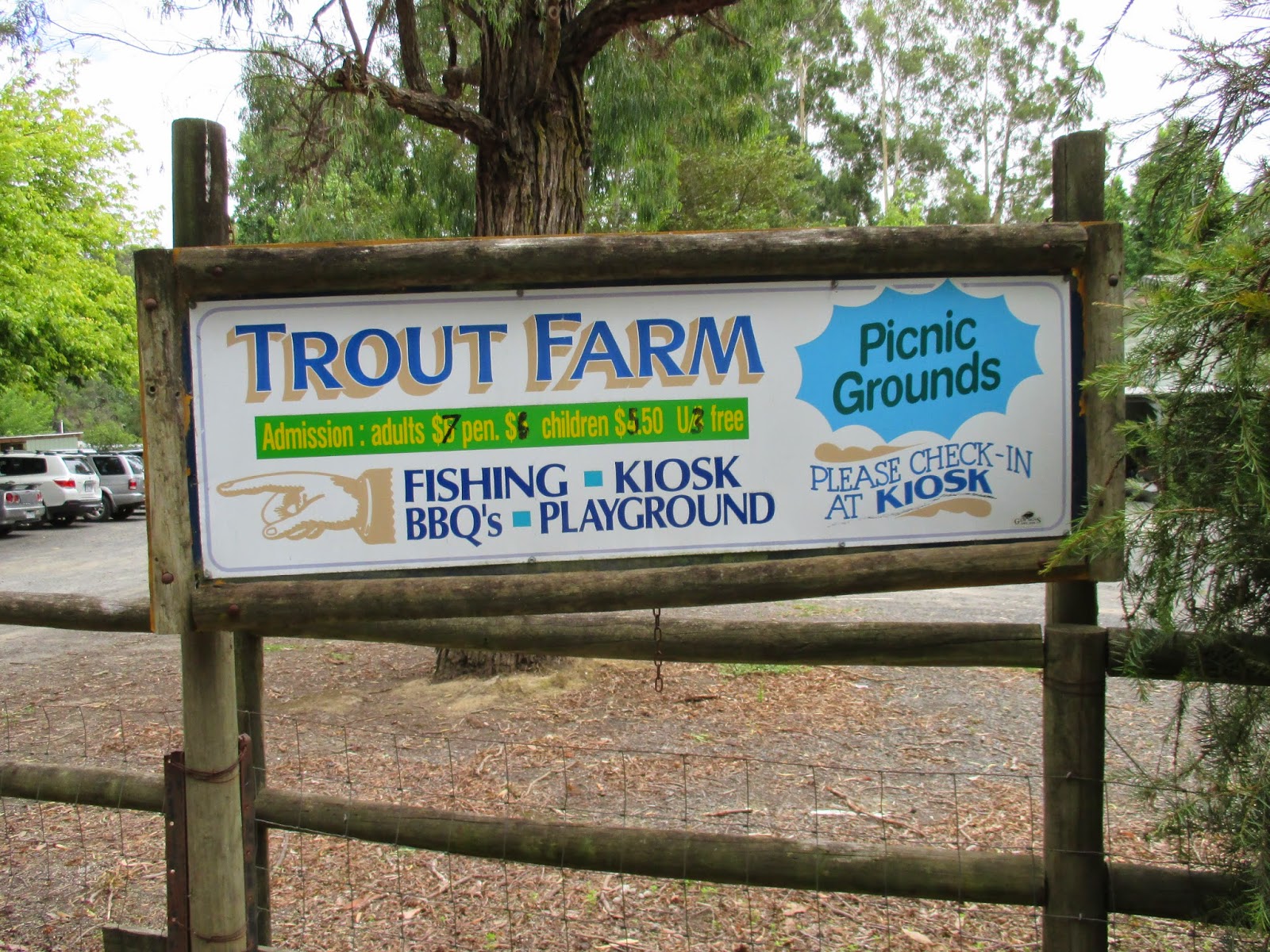 Konted's Make My Day 2 Trout Fishing at Mount Dandenong