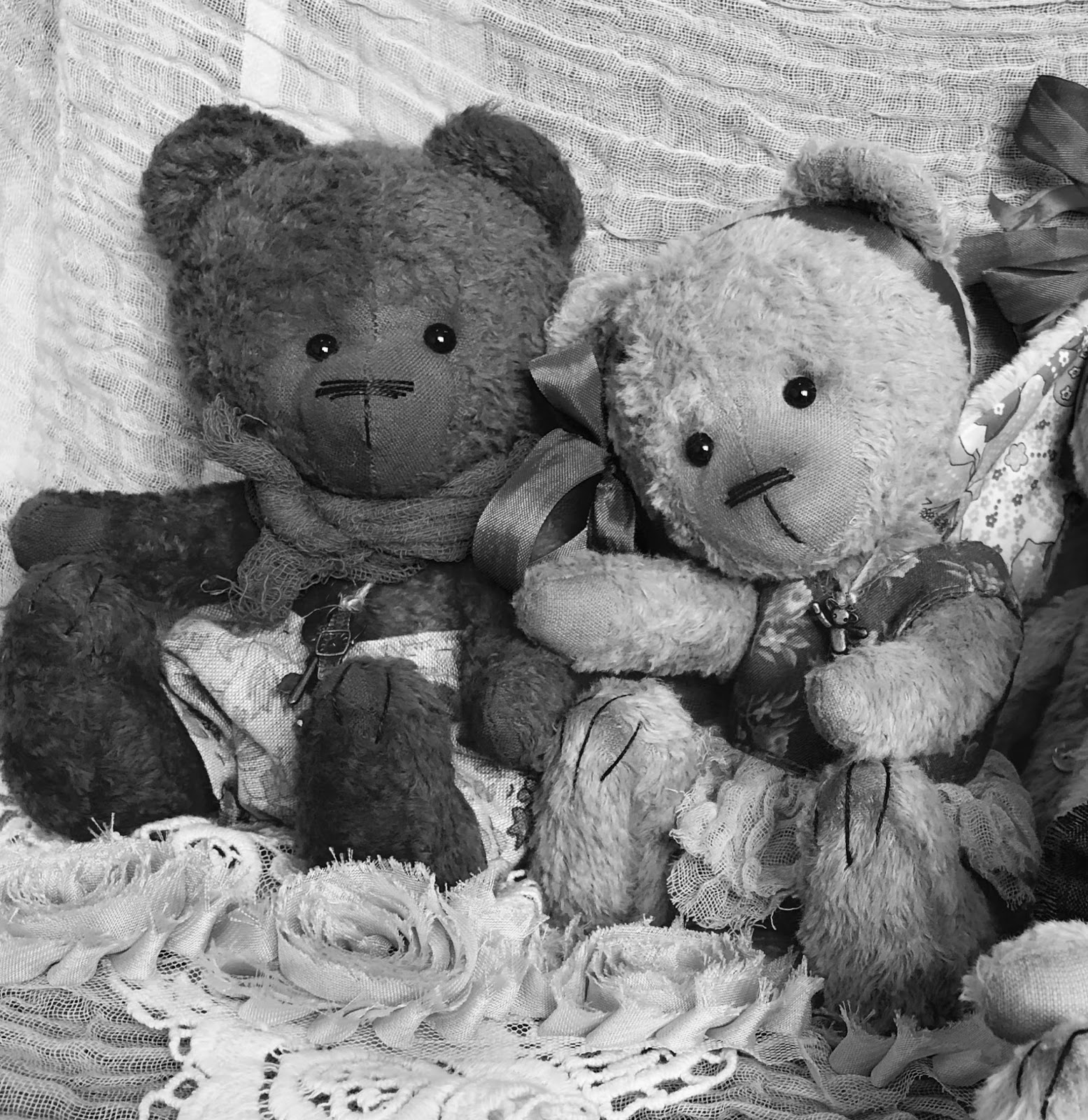 teddy bear eyes the range