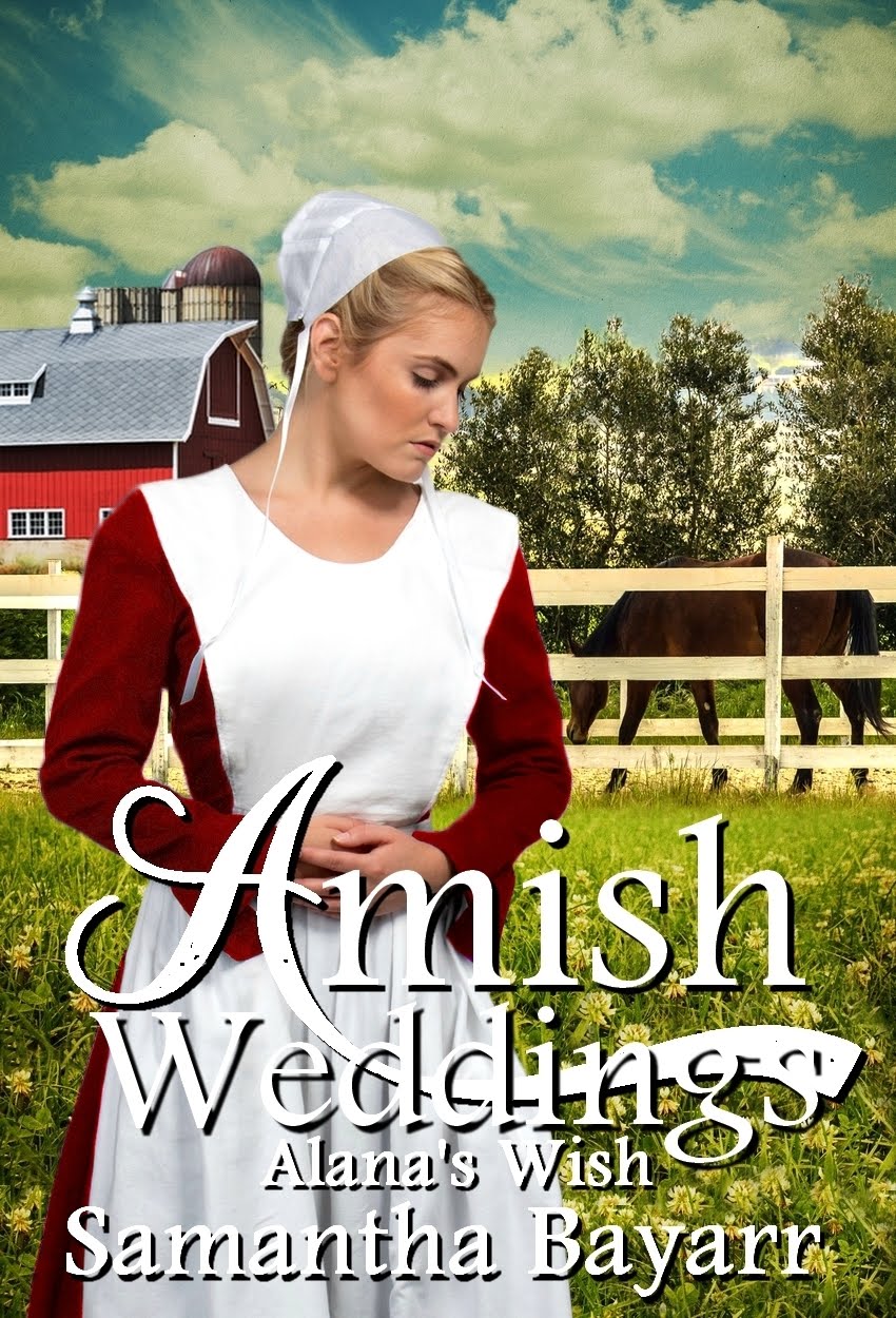 Amish Weddings book 4