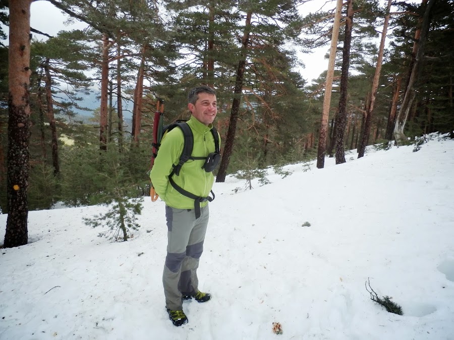 Paisaje-nevado-entre-pinares-en-la-Sierra-de-Guadarrama