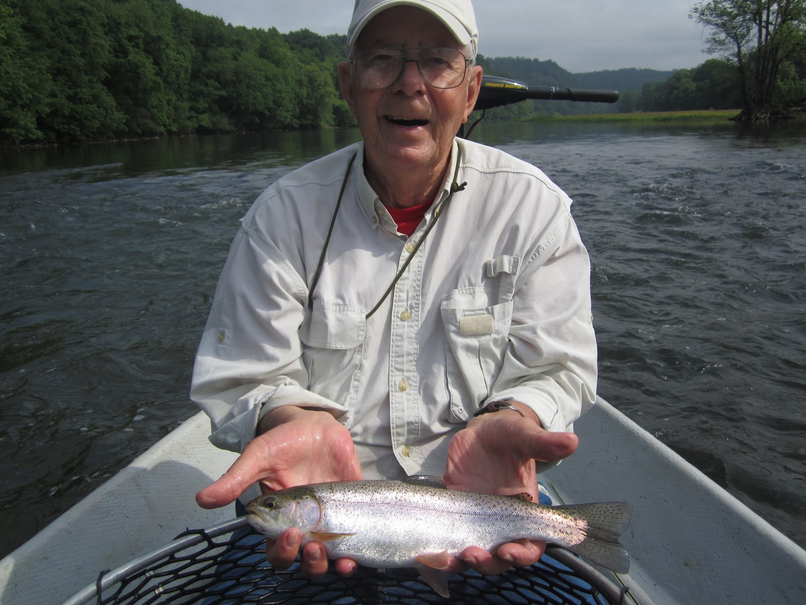 Hiwassee River Guides Holston River 