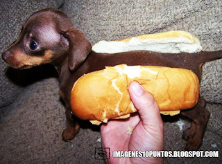 imagenes locas imagenes locas