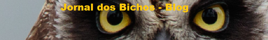 Jornal dos Bichos - Animal em Fatos, vídeos e fotos