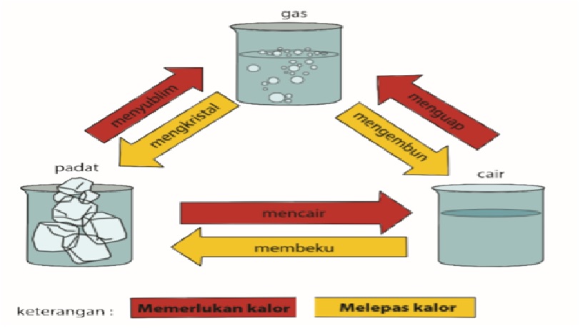 Vinsskyss Rangkuman Tema 7 Subtema 1