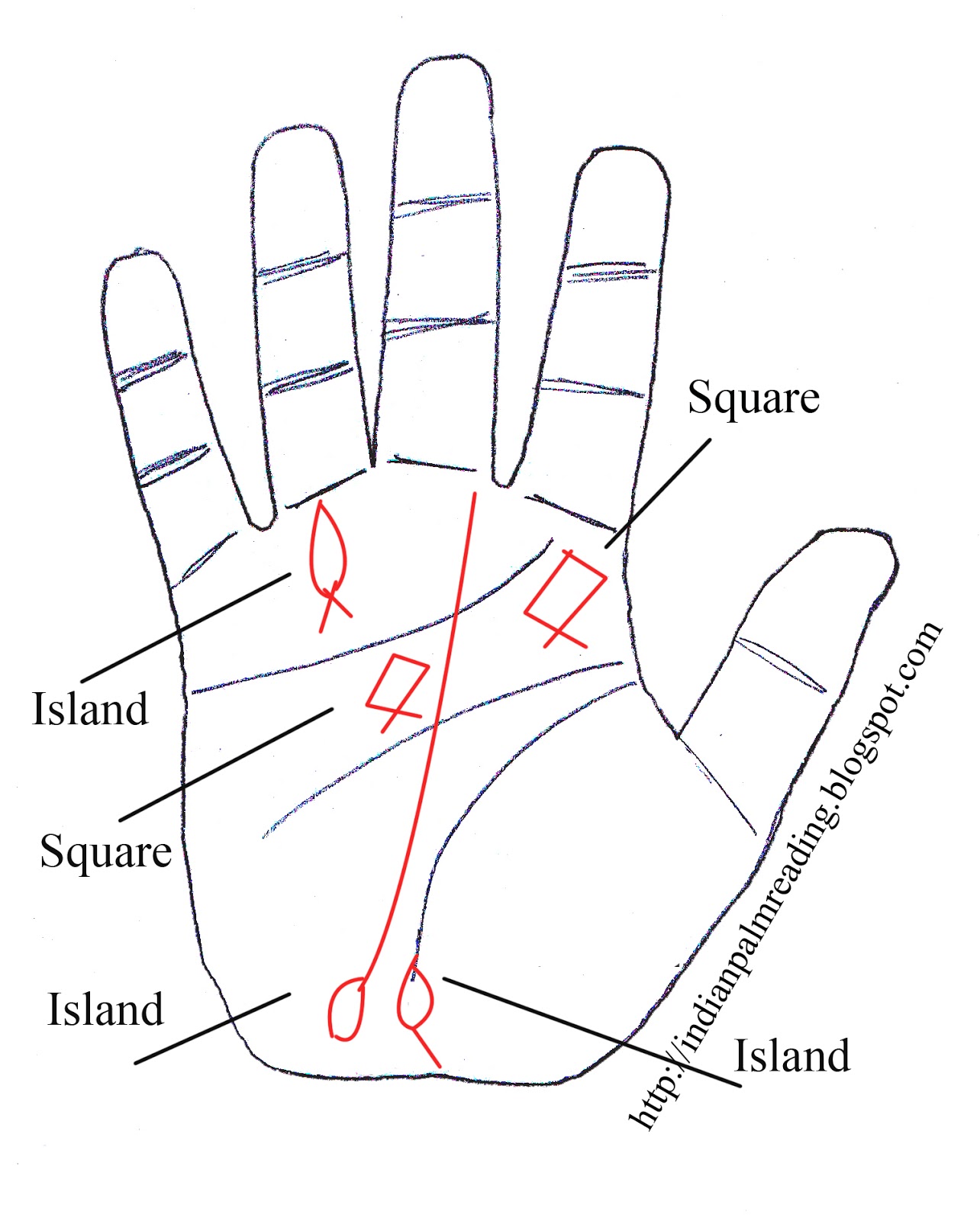 знак рыбы на ладони. знак рыбы на руке хиромантия. рыбы хиромантия. знак рыбы на руке хиромантия. знак ведьмы на руке.