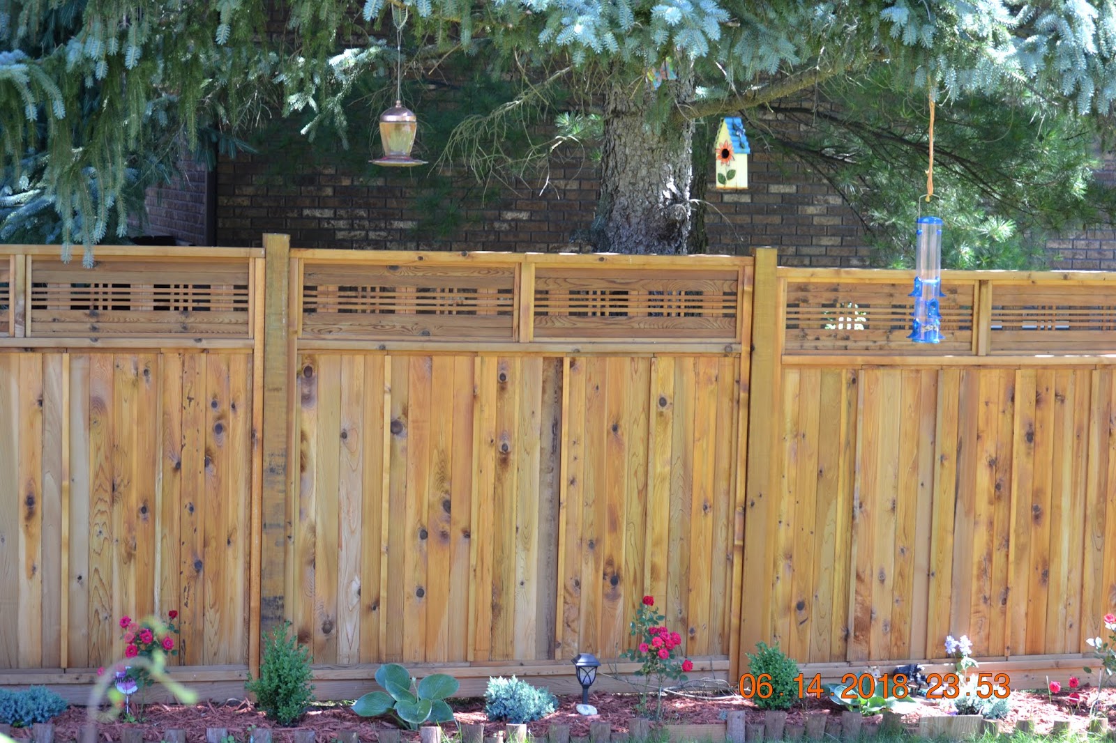 Pets Critters Nook Bird S Haven In The Backyard