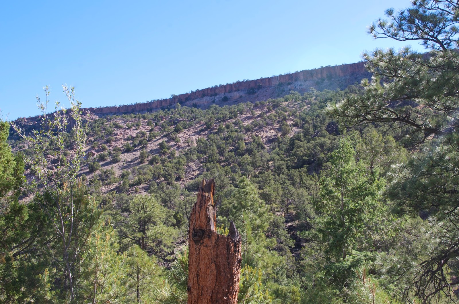 Southern New Mexico Explorer Cañoncito Seco Trail Santa Fe National Forest