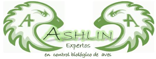 Limpieza y Mantenimiento