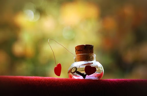 Kết quả hình ảnh