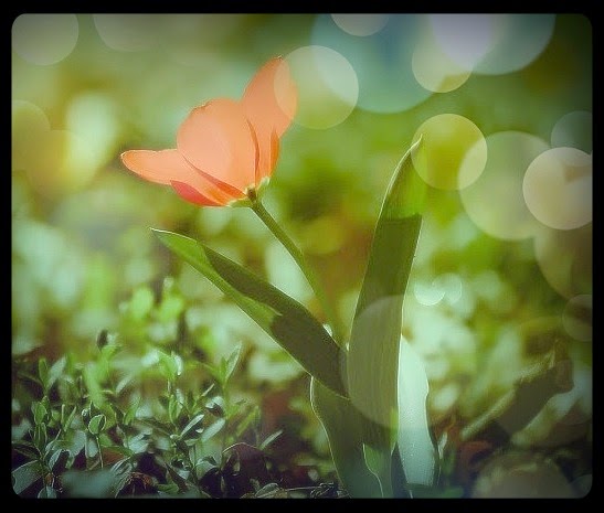 Gedichte Unter Der Laterne Marz 2014