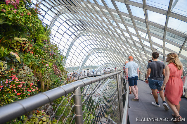 Singapore | Gardens by the Bay