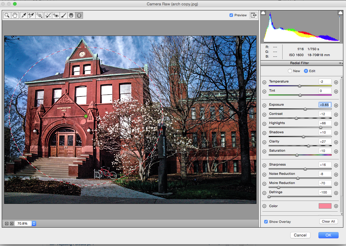 Leona's Blog Spot Camera Raw Radial Filter