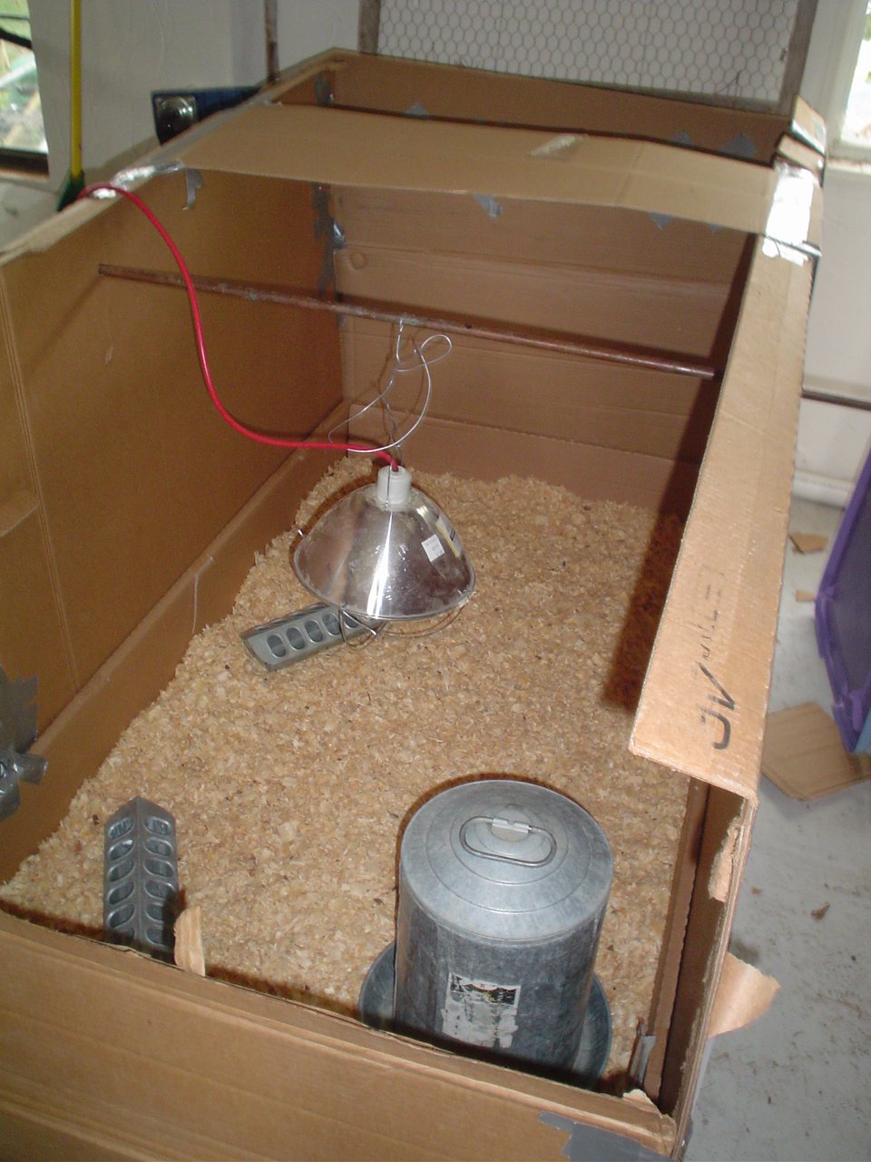 A Charmed Life Schoolyard Chickens ProjectSetting Up a Brooder for