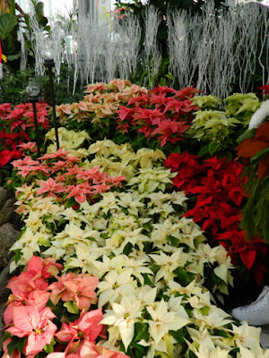 Layers of poinsettias Allan Gardens Conservatory  2015 Christmas Flower Show by garden muses-not another Toronto gardening blog