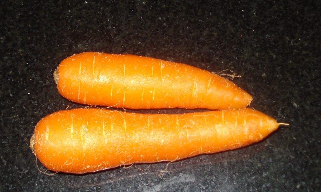 Glossary Carrot