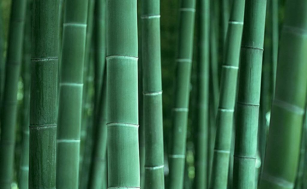  Kerajinan  Bambu  Kerajinan  Bambu 