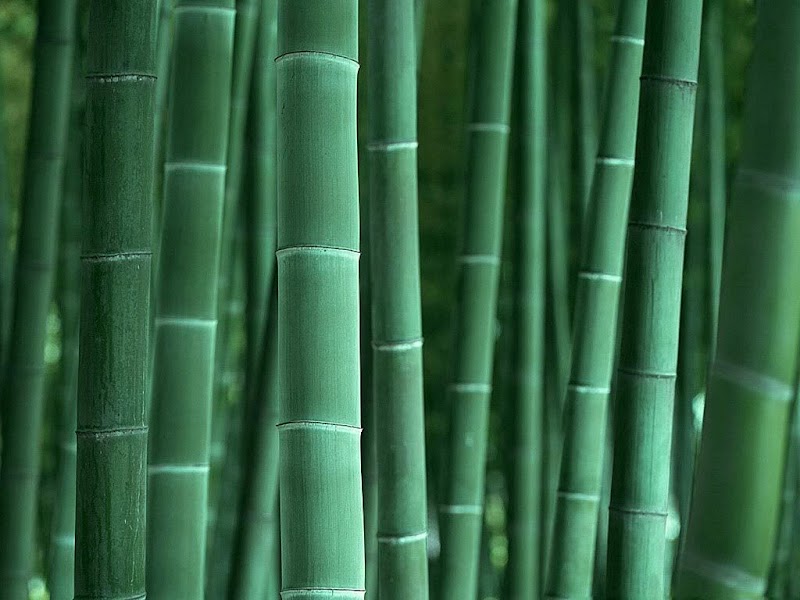 27 Koleksi Kekinian Kerajinan Bambu Andong