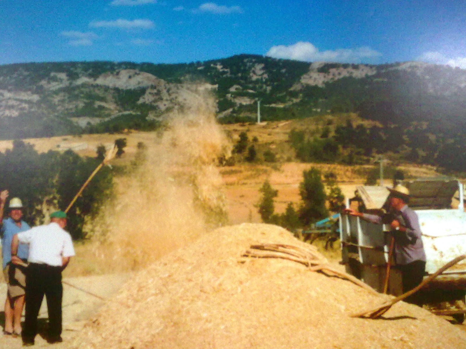 LA TRILLA MUSEO VIRTUAL