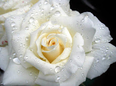 IPBYS - tv and videos