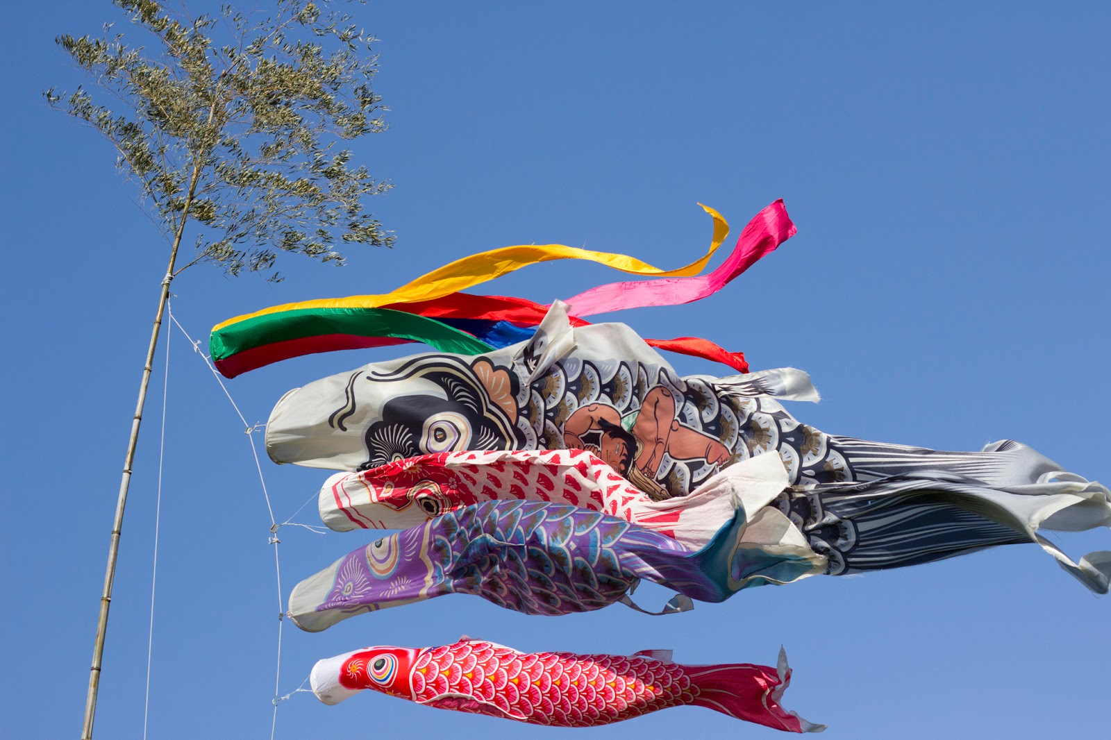 PennsylvAsia Children's Day (こどもの日) at Carnegie Museum of Art, May 5.