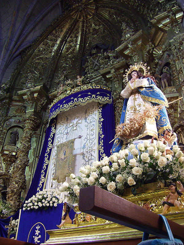 La encina vecina La Encamisá de Torrejoncillo.