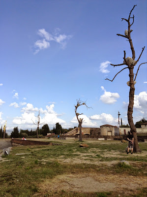 Giuseppe Penone: Idee di Pietra