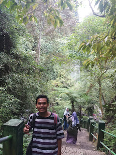 IMG-20180730-WA0023 Air Terjun Benang Kelambu: Tirai Alami Pulau Lombok