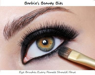 Eyes Brushes every female should have, barbies beauty bits 