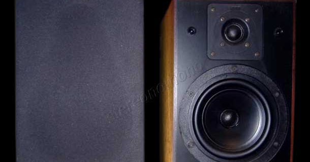 kef kube 102