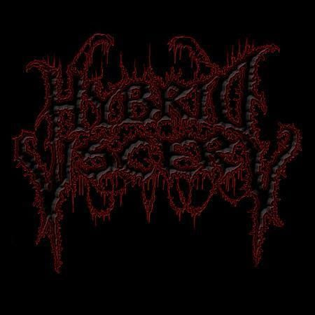 Hybrid Viscery_logo