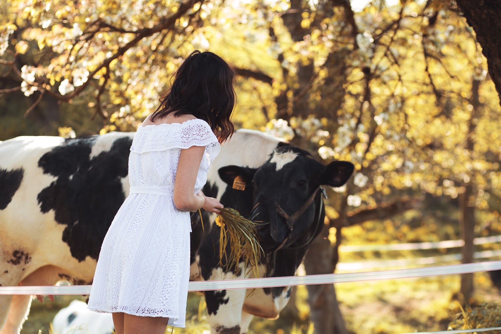 Science Fiction Meertext