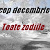 Horoscop decembrie 2016 - Toate zodiile