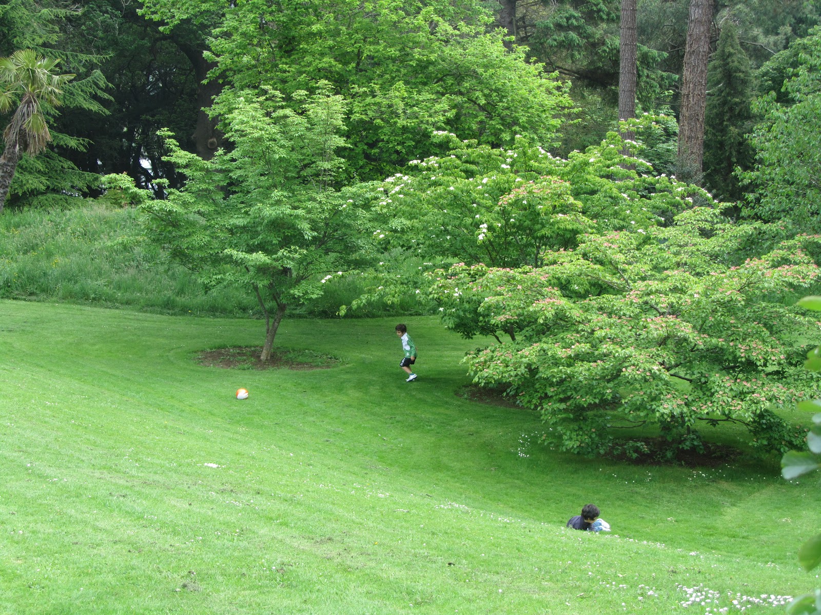 EXPAT WITH KIDS IN DUBLIN Avoca café in Kilmacanogue (Bray)