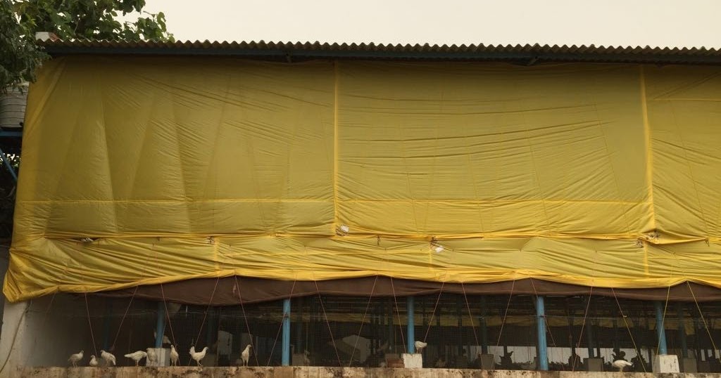 Mohantarp Is Leading Plastic Tarpaulin And Silpaulin Manufacturers