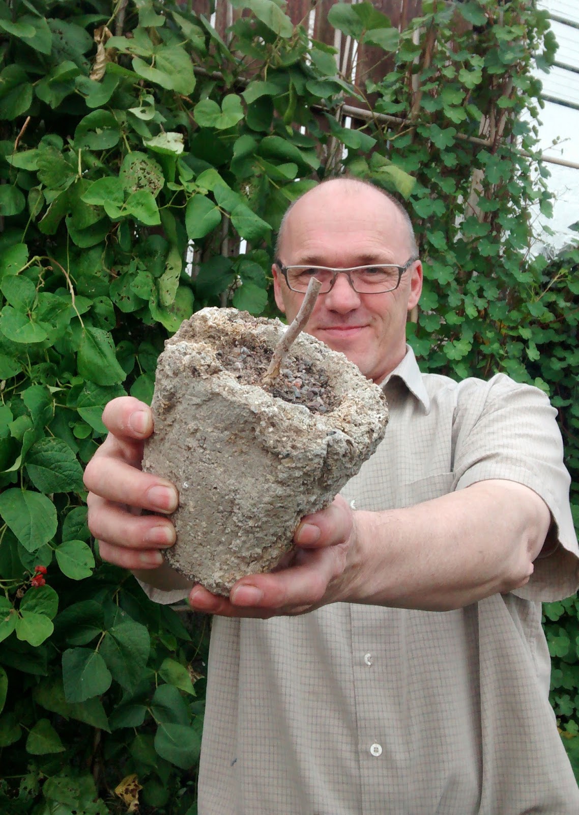 Gardening Matters Why Did My Plant Die?