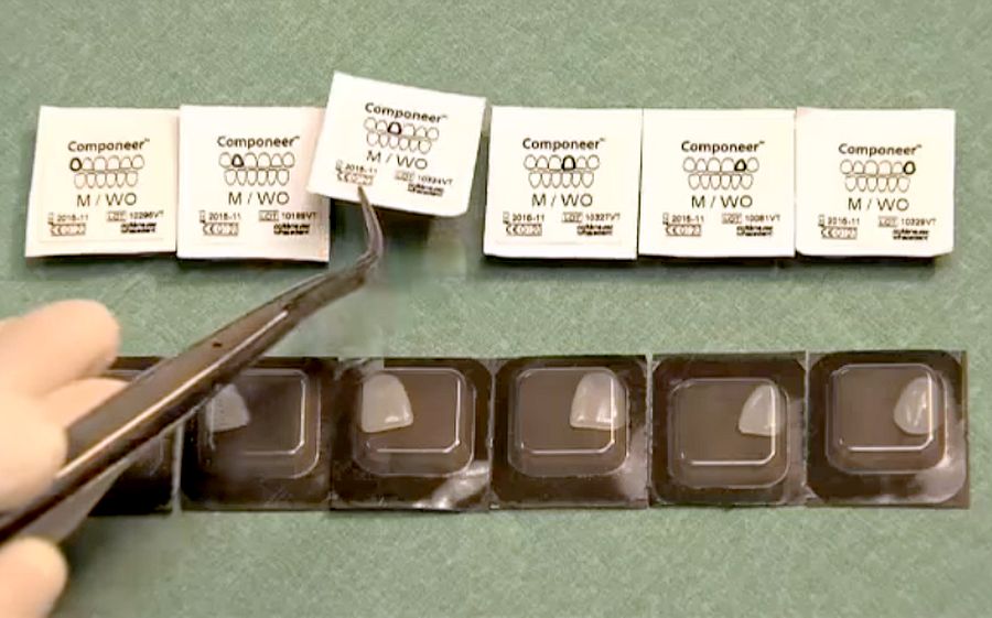 COMPONEER Direct Composite Veneering System