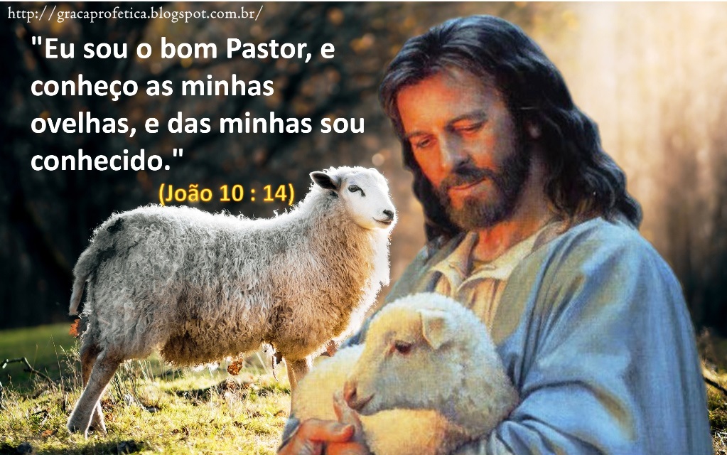 Eu sou o bom Pastor, e