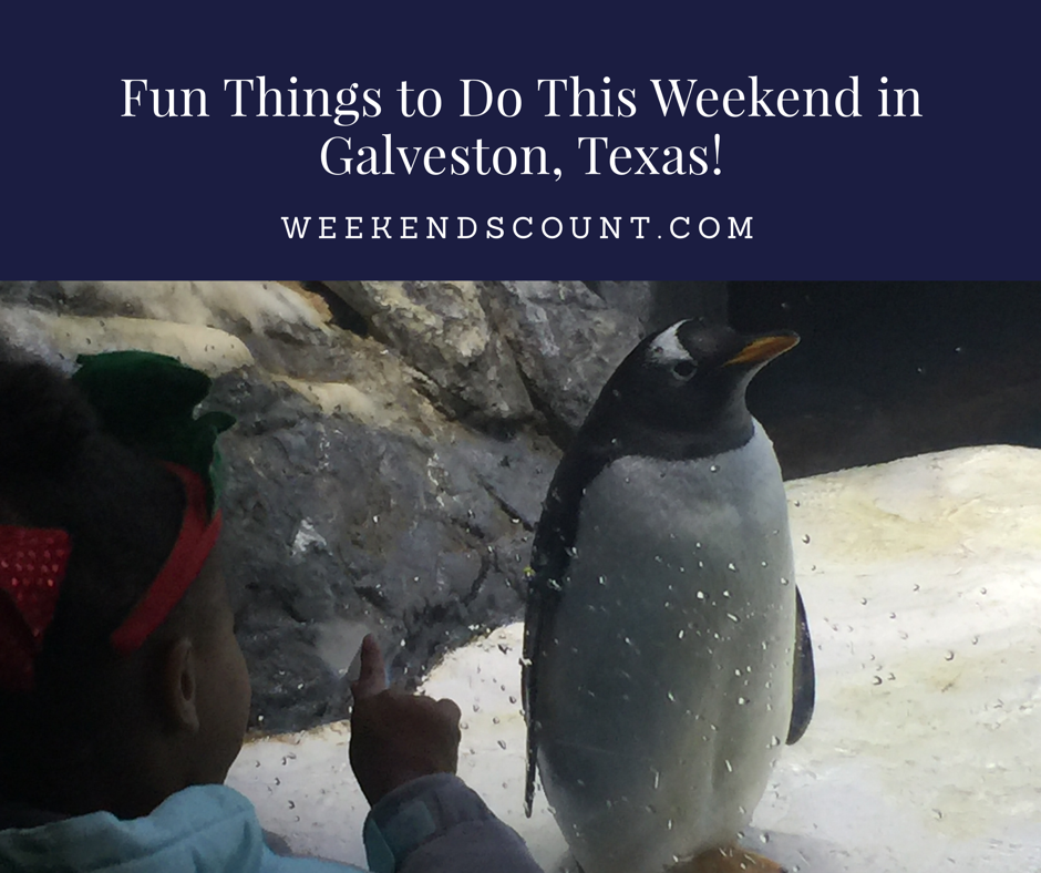 Weekends Count Magazine Education & Family Travel Fun Things to Do This Weekend in Galveston