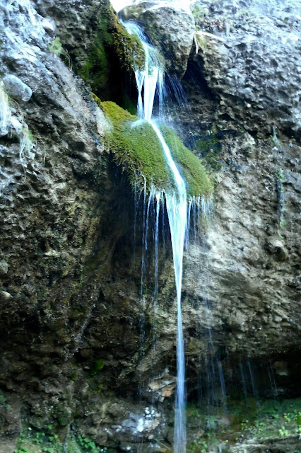 rocayflor Peña Canciás