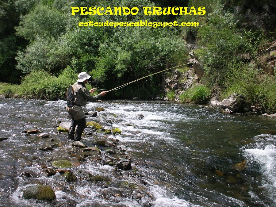 PESCANDO TRUCHAS