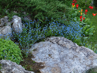 EL JARDÍN DE ROCAS Criterios para su formación y mantenimiento