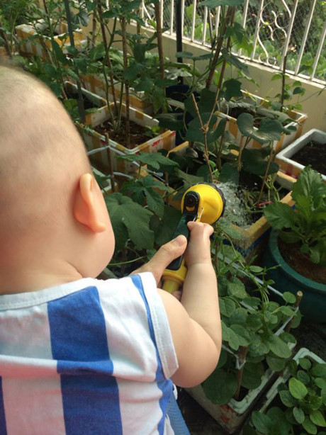 “Hut hon” vuon rau sach tren san thuong cua me tre 1 con - Anh 7