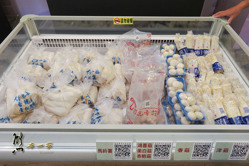 新社花海|中台灣農業博覽會