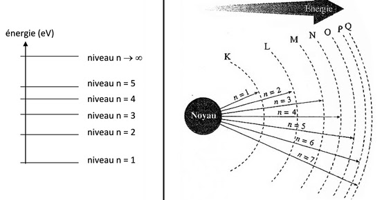 Théorie Des Cordes Vs Gravitation Quantique à Boucles HISTOIRE DES SCIENCES : DE L'INFINIMENT PETIT A L'INFINIMENT GRAND