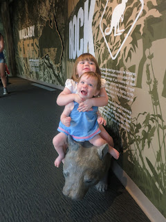 Death on a wombat or happy birthday baby girl