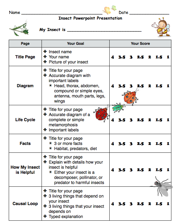 Successful Students in K2 Insect PowerPoint