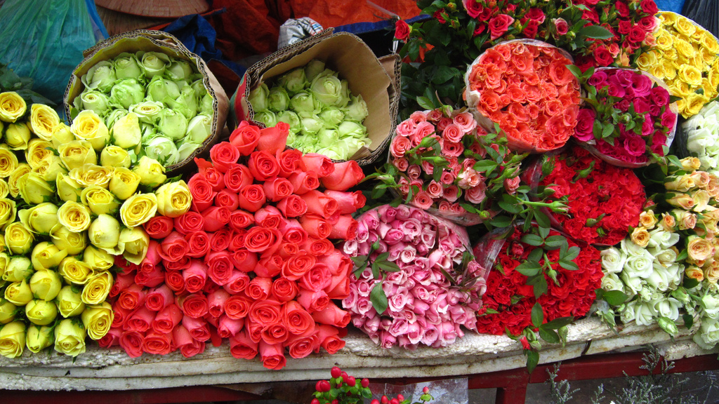 Káº¿t quáº£ hÃ¬nh áº£nh cho Quang Ba Flower Market