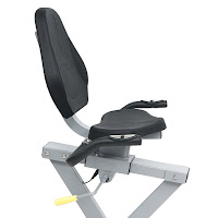 Adjustable seat with backrest on Sunny SF-RB4631 recumbent bike