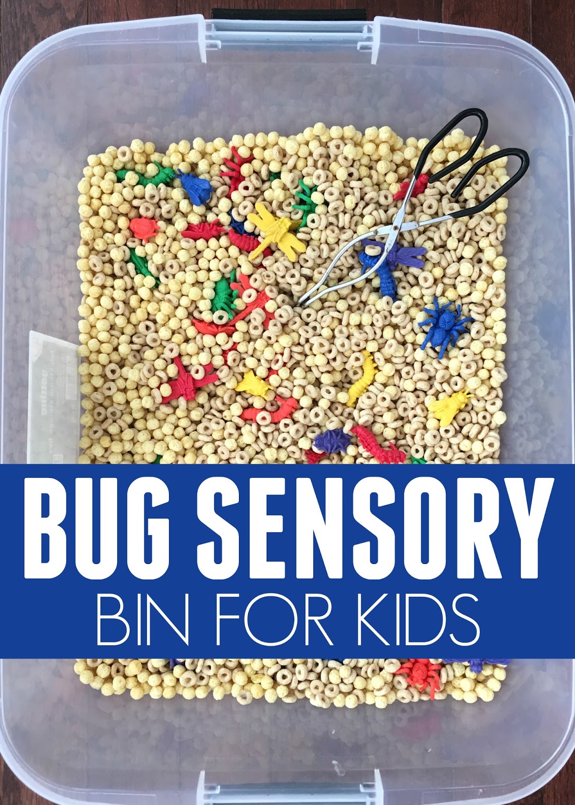 Toddler Approved! Awesome Quick to Make Bug Sensory Bin for Kids