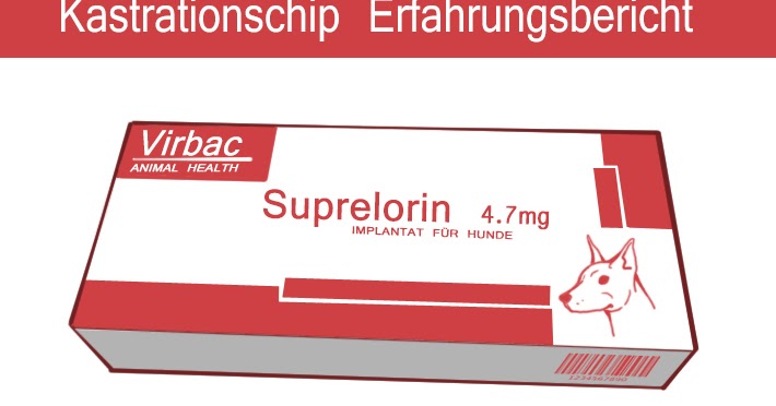 5 Regeln Fur Eine Platonische Freundschaft Ohne Drama